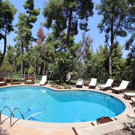 Villa Agapi Sani Sani (Chalkidiki)