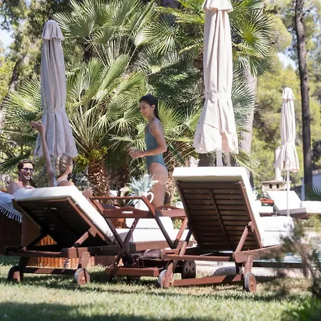 Villa Agapi Sani Sani (Chalkidiki)